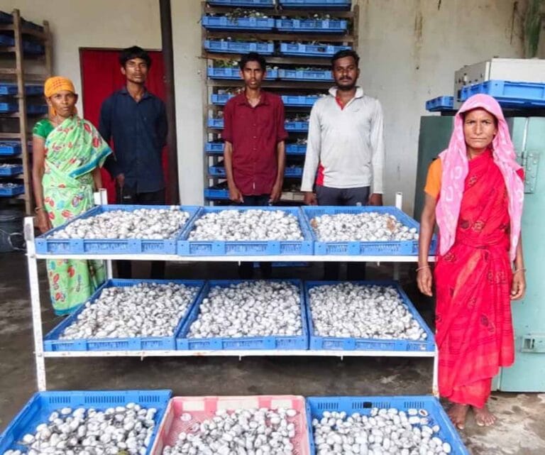 रेशम की डोर से बुनी आत्मनिर्भरता – दंतेवाड़ा की महिलाओं को मिली नई पहचान
