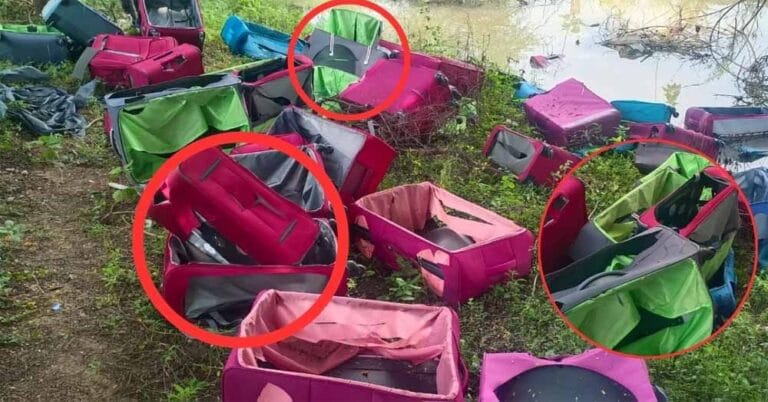 एक्सप्रेस वे पर 30+ ट्रॉली बैग बरामद, पुलिस ने जताई ड्रग्स तस्करी की संभावना
