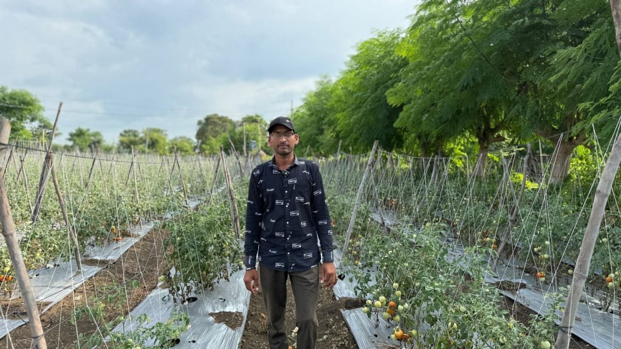 1756882465_47964b5e6c210343ba88