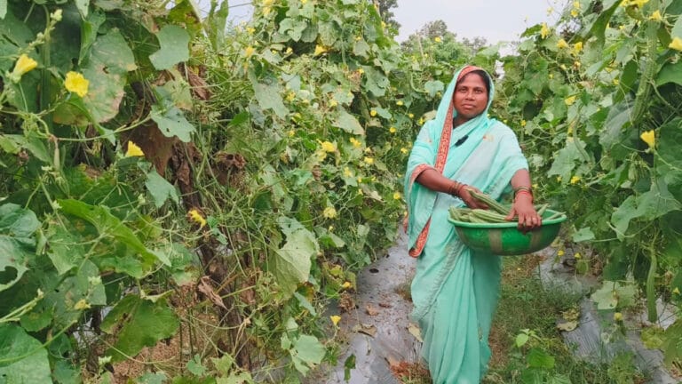 CG : दानवती आर्माे बनीं लखपति दीदी