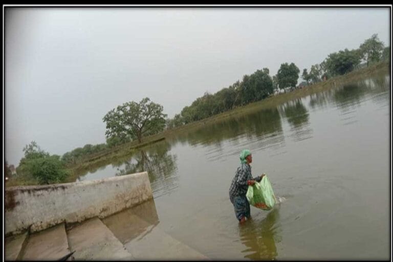 अमृत सरोवर योजना से संवर रहा भविष्य, रायपुर में 650 महिलाओं को मिला सम्मानजनक रोजगार