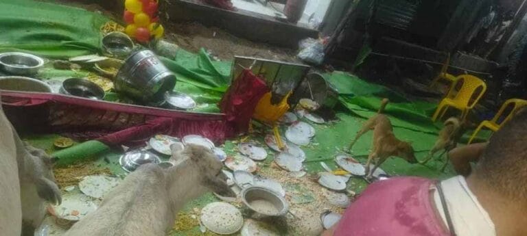 गृह प्रवेश कार्यक्रम में अफरातफरी: अनियंत्रित कार ने तोड़ा पंडाल, कई लोग घायल