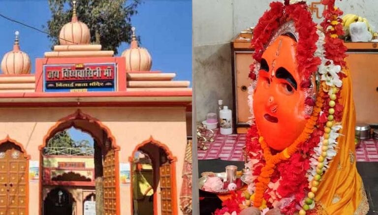 CG : धमतरी की बिलाई माता: बिल्लियों से जुड़ी है स्थापना की कथा…