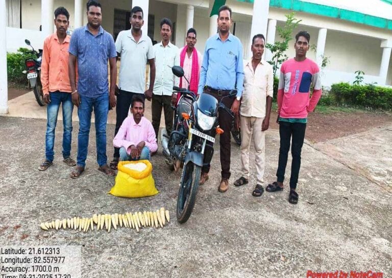 अवैध बांस करील परिवहन पर बड़ी कार्रवाई, रायपुर पुलिस ने आरोपी दबोचा