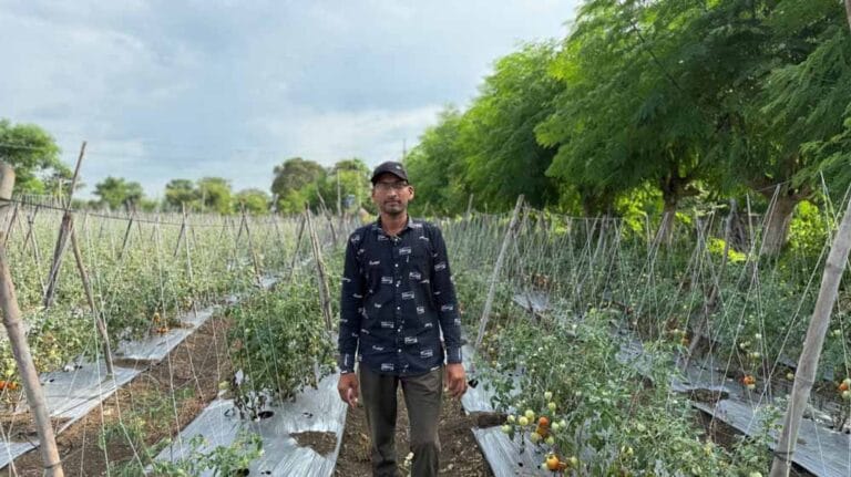 सब्जी की आधुनिक खेती से सीताराम राजपूत कमा रहे सालाना 15-16 लाख रूपए