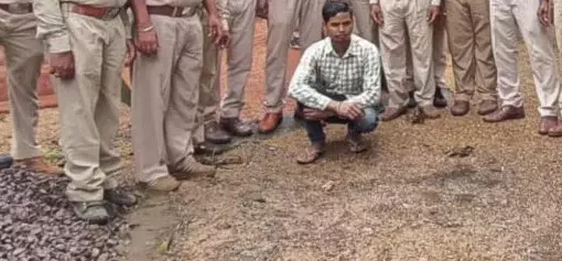 CG : कारपेंटर के घर वन विभाग ने मारी रेड, 2 लाख की महंगी लकड़ी जब्त…