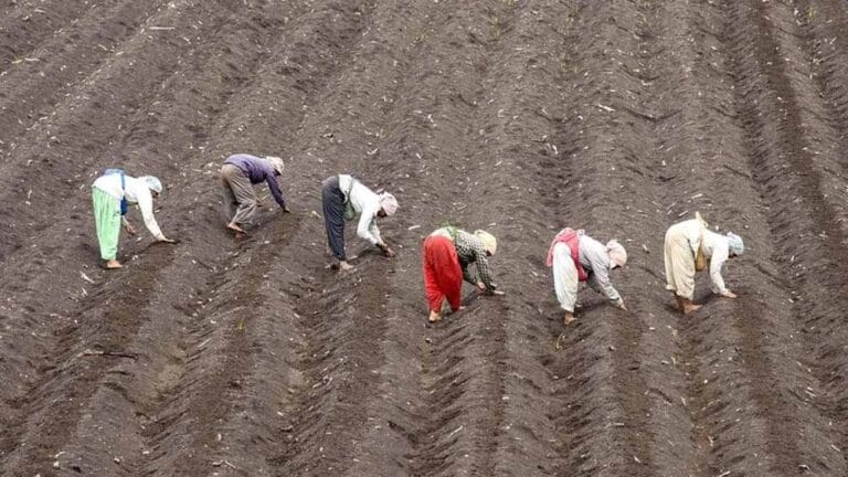 kisan2-2.jpg