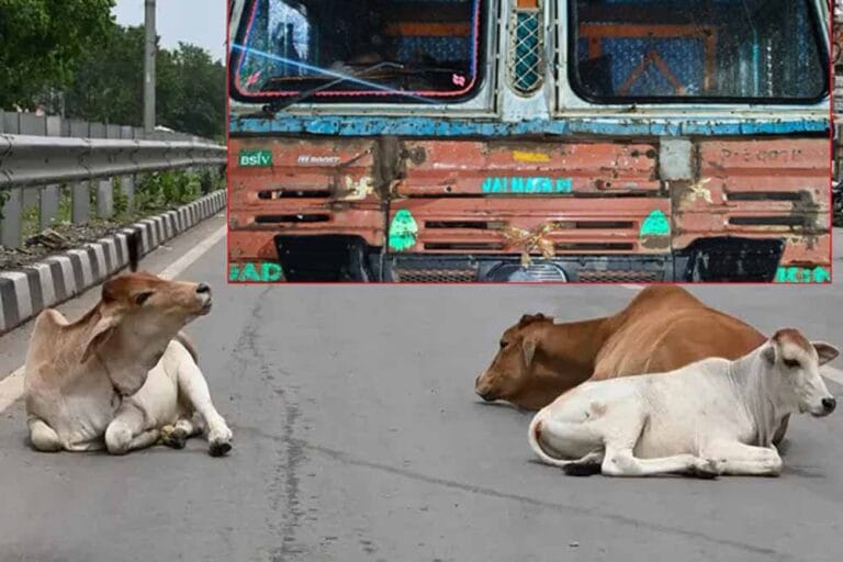 तेज रफ्तार कंटेनर ने दुर्ग में मचाई तबाही, 8 गायें कुचलीं, चालक दबोचा गया
