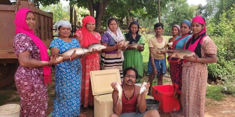 CG : मछली पालन आय का उत्तम साधन