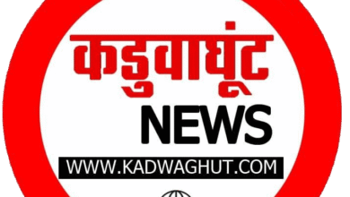 खनिज राजस्व में 14 प्रतिशत की उल्लेखनीय वृद्धि