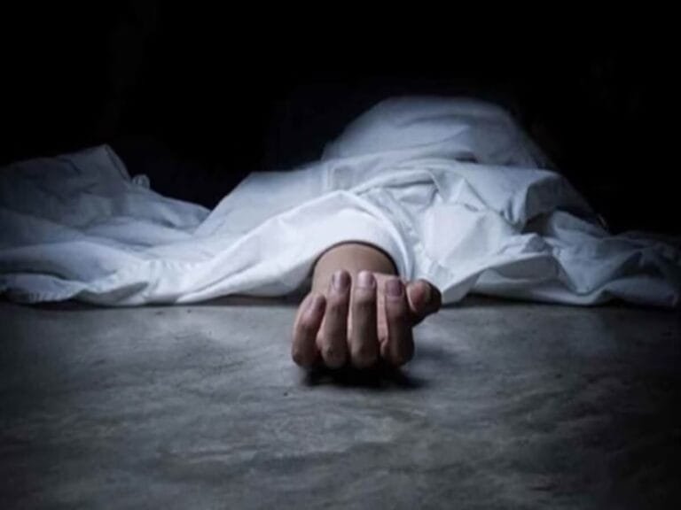 mout