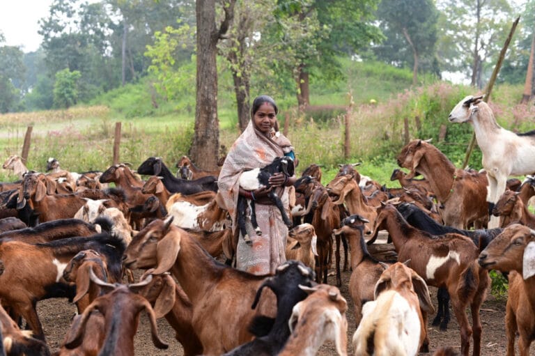 CG : बिहान से गनेशी बाई आत्मनिर्भरता की राह पर