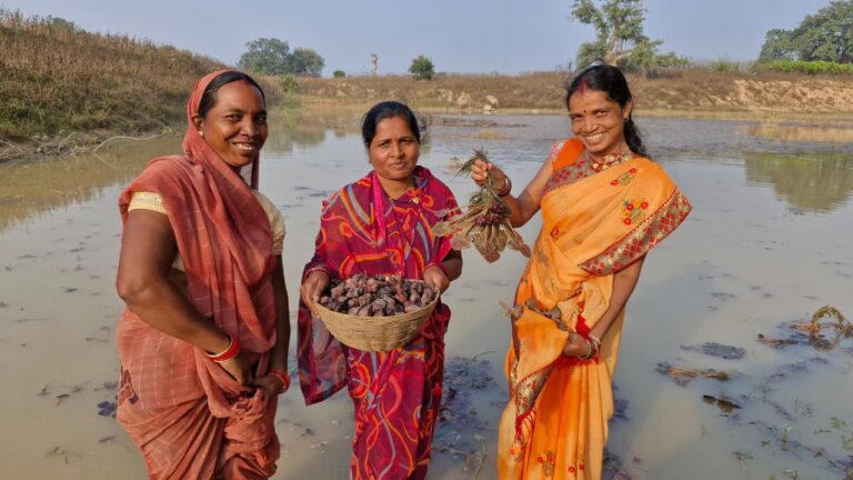 CG : राष्ट्रीय ग्रामीण आजीविका मिशन (बिहान) के सहयोग से महिलाओ के लिए बना आय का मजबूत स्रोत