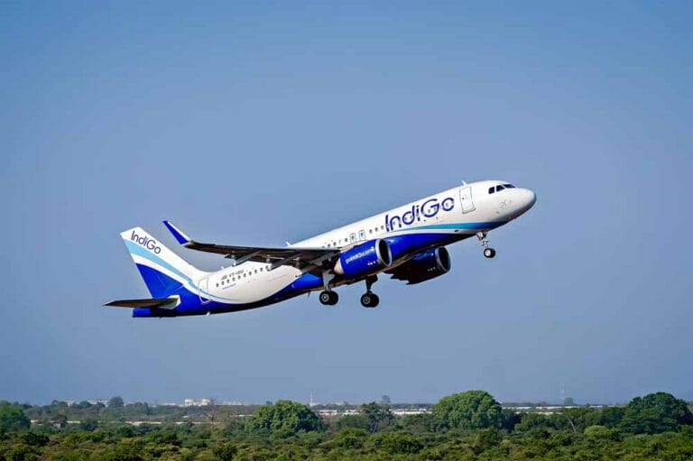indigo2.jpg