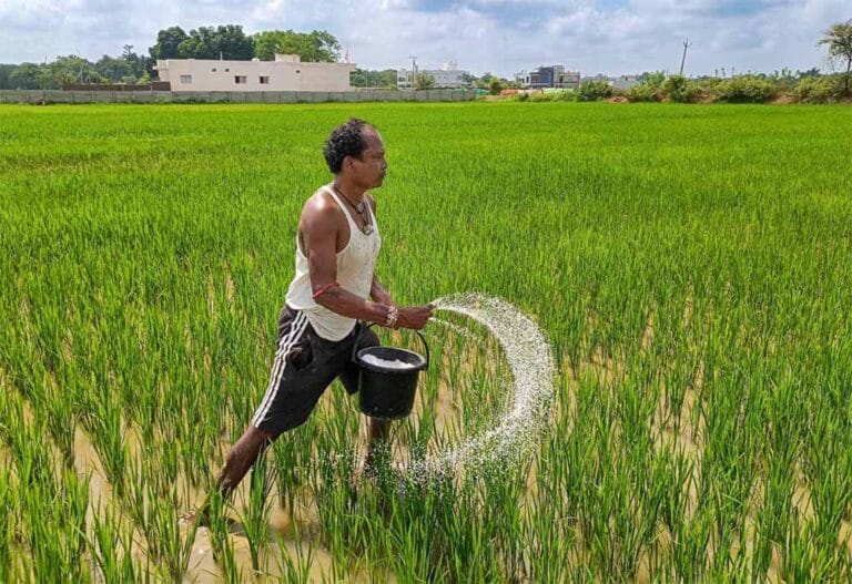 kisan2-4.jpg