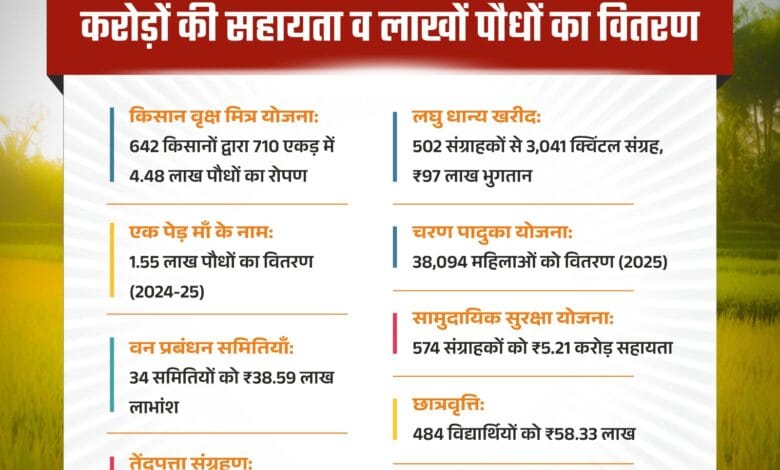 मोहला : हरियाली से खुशहाली, आर्थिक रूप से सशक्त हुए जिले के ग्रामीण