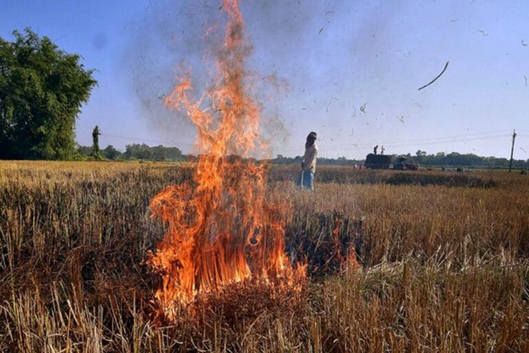 praali_fire77_3_16.jpg