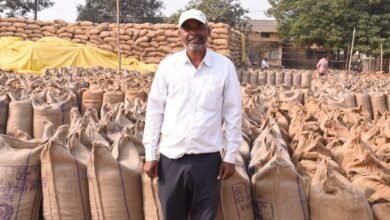 राजनांदगांव : समर्थन मूल्य एवं कृषक उन्नति योजना से किसानों के सपने हो रहे पूरे