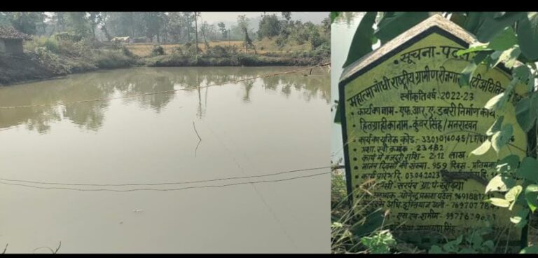 CG : डबरी निर्माण से बदली किसान कुंवर सिंह की किस्मत