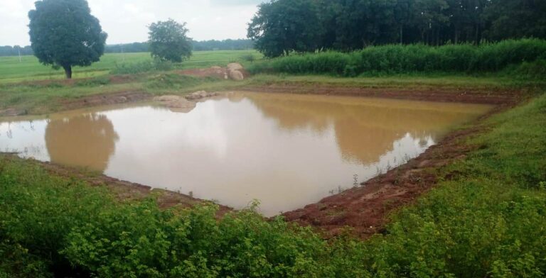 CG : डबरी निर्माण से ग्रामीण आजीविका को मिल रही नई दिशा