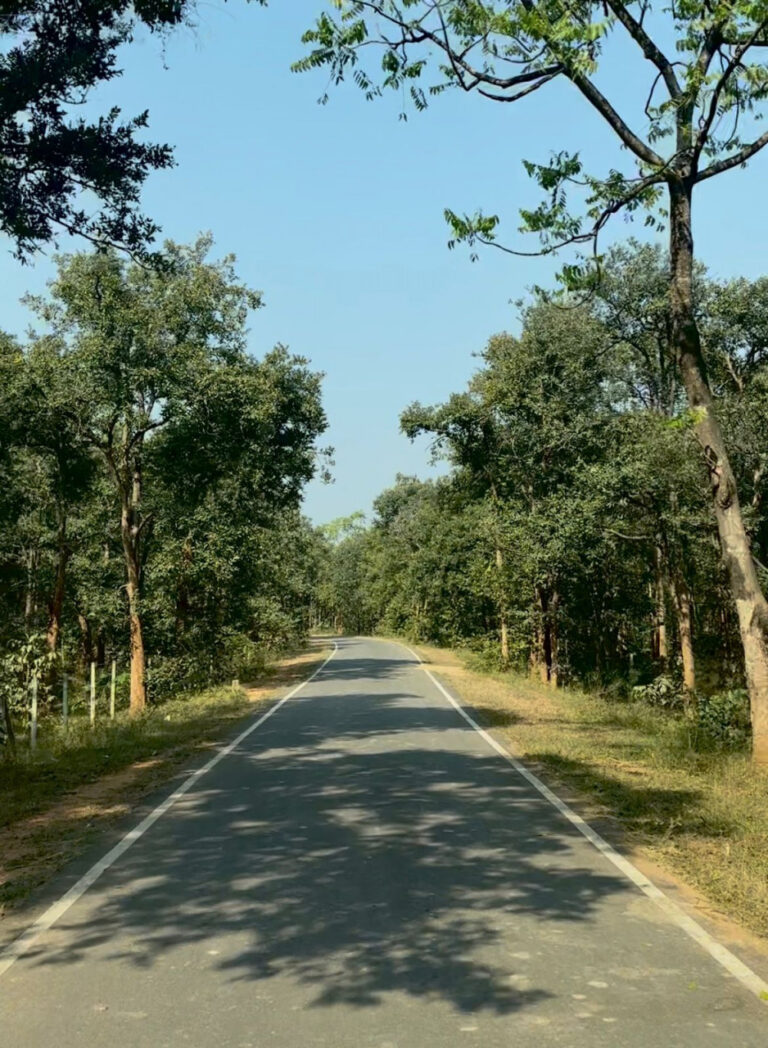 CG : पीएम जनमन योजना से बदली ग्राम बांसकुड़ा कमार बस्ती की तस्वीर