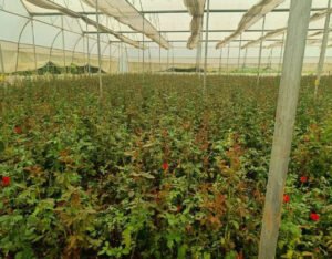 1766591838_b122d2281eaf0df70ab6