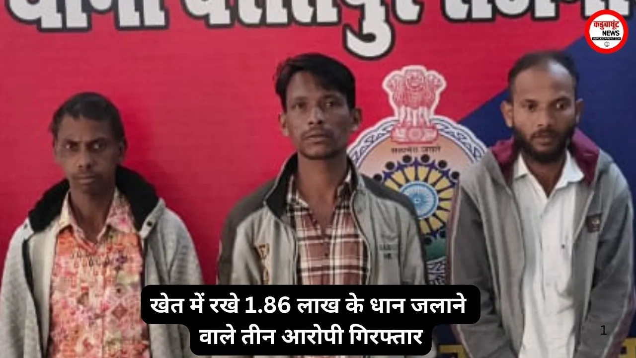 Rajnandgaon: खेत में रखे 1.86 लाख के धान जलाने वाले तीन आरोपी गिरफ्तार