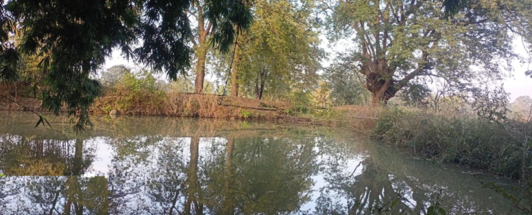 CG : डबरी निर्माण से ग्रामीण आजीविका और जल संरक्षण को मिलेगा नया आधार