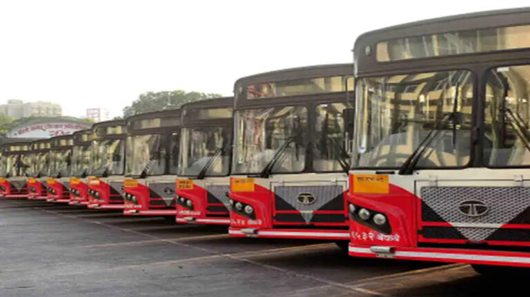 bus_81_1.jpg