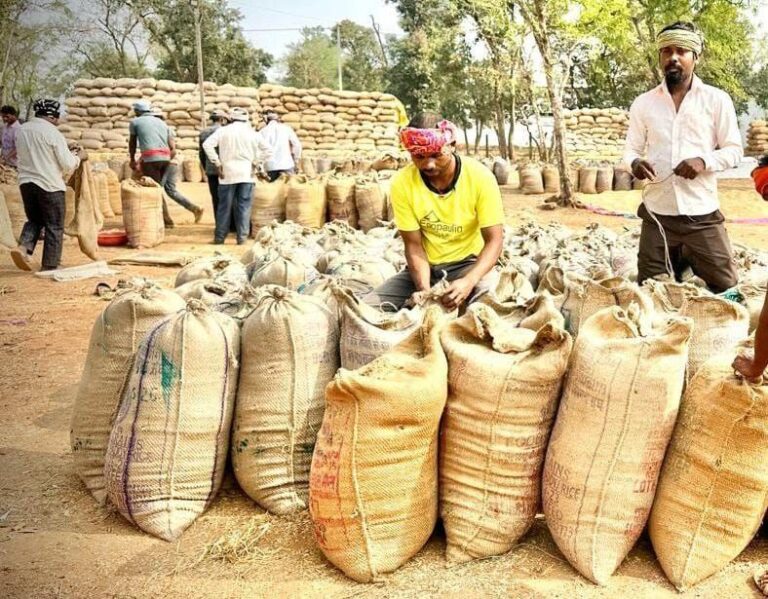 CG: धमतरी में रिकॉर्ड रफ्तार से धान खरीदी, किसानों को 409 करोड़ का हुआ भुगतान
