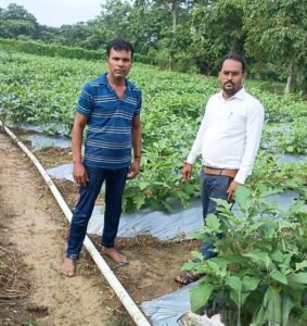  राष्ट्रीय कृषि विकास योजना से बदली किसान की किस्मत