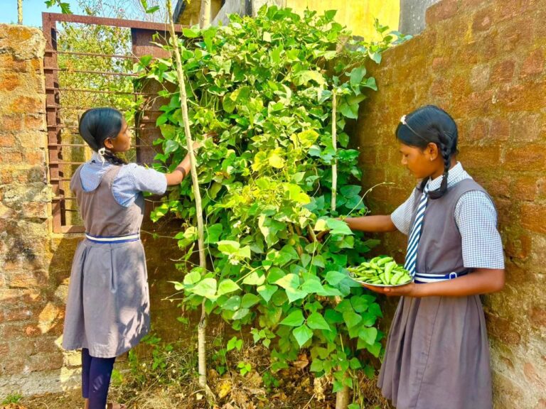 CG: बच्चों को मिल रहा पौष्टिक आहार विद्यालय की बगिया से