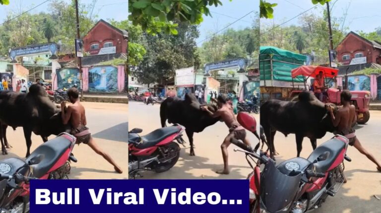 Bull Viral Video: बिच सड़क सांड से फ़िल्मी अंदाज में भिड़ गया ये शख्स, वायरल Video देख हो जायेगे रोंगटे खड़े