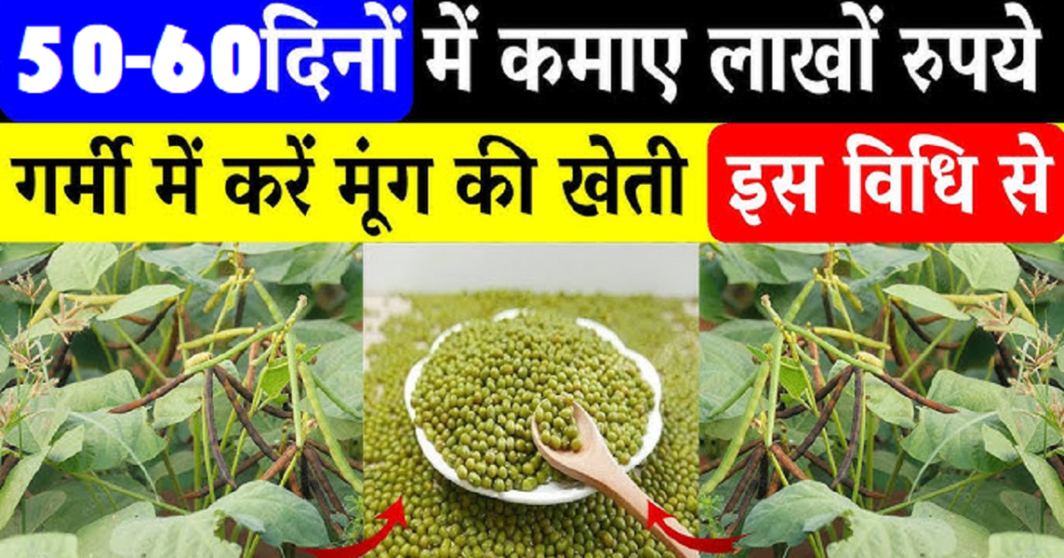 Moong Cultivation