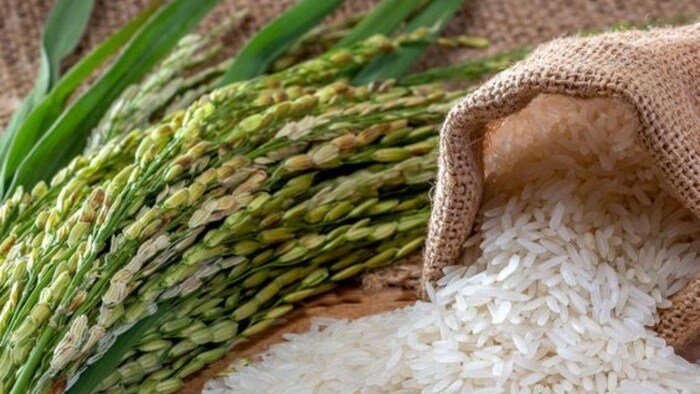 New Rice Variety