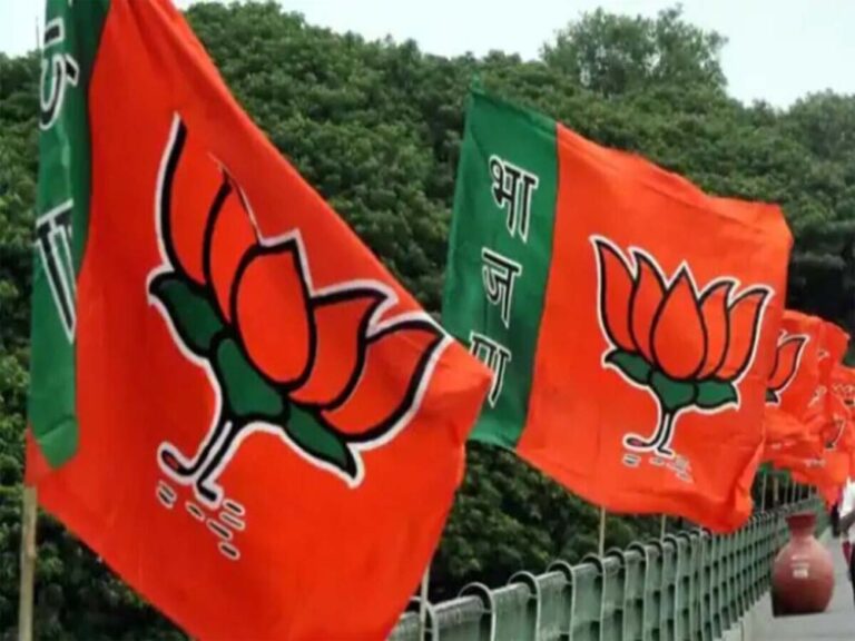 bjp2-7.jpg