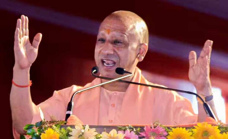 yogi_102_2-3.jpg