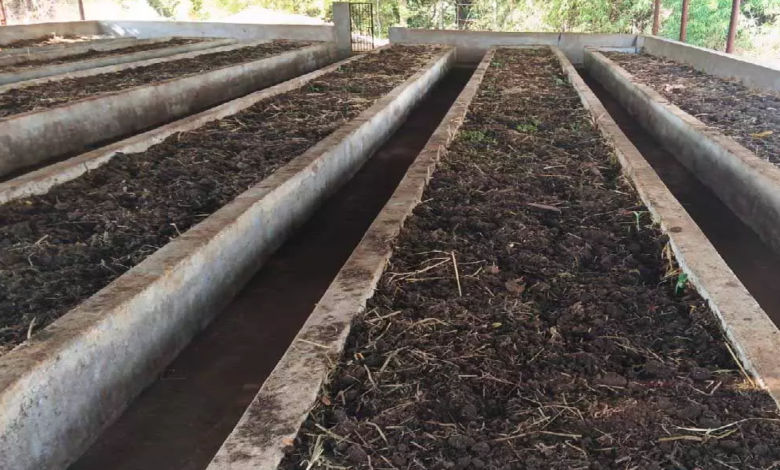 CG : वर्मी कंपोस्ट उत्पादन बनी आत्मनिर्भरता की मिसाल …