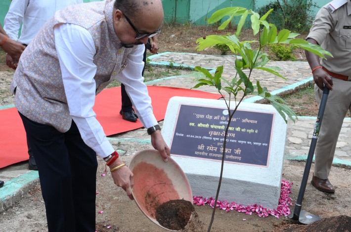 CG : राज्यपाल रमेन डेका ने जशपुर के मातृत्व वन में किया सीता अशोक के पौधे का रोपण