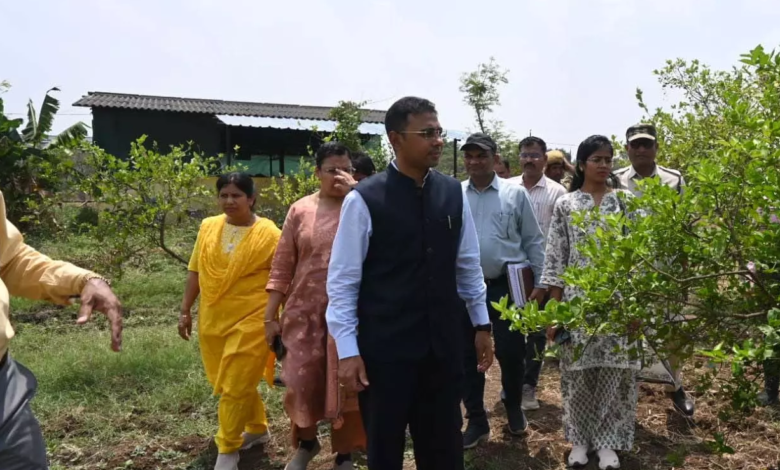CG : पाम ऑयल खेती को बढ़ावा, कलेक्टर ने कृषि विज्ञान केंद्र में दिए विस्तार के निर्देश…