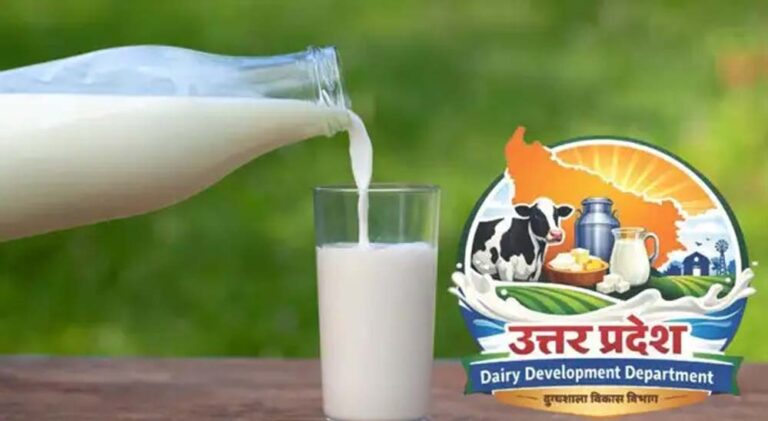 योगी सरकार का बड़ा कदम: दुग्ध स्वर्ण महोत्सव-2026 से डेयरी सेक्टर को नई दिशा