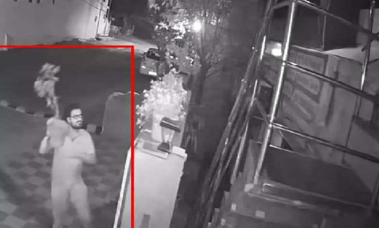 CG : टैगोर नगर में पौधों की चोरी, युवक CCTV में कैद …