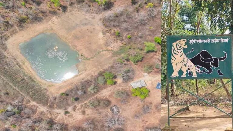 Tiger Reserve Safety: उदंती सीतानदी में हाईटेक निगरानी और ‘फायर-वॉटर’ मॉडल से जंगल को मिली सुरक्षा