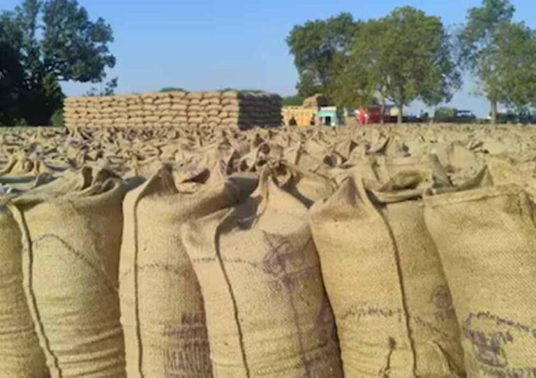 धान खरीदी में फर्जीवाड़ा बेनकाब: 2.54 करोड़ की गड़बड़ी पकड़ी गई, मुंगेली प्रभारी पर FIR
