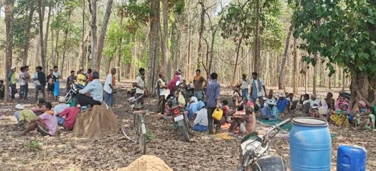 धमतरी में जंगल बचाने की मुहिम: अवैध निर्माण पर चला बुलडोजर, प्रशासन का सख्त रुख