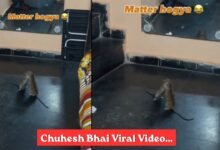 Chuhesh Viral Video