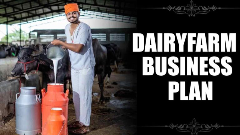 Dairy Farming Business: कम से कम निवेश में शुरू करे डेयरी फार्मिंग बिज़नेस, सरकार भी करेगी मदद, जाने पूरी डिटेल्स ?