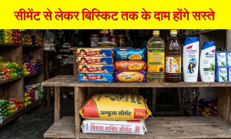 India Manufacturing Sector: सरकार ने लिया बड़ा फैसला, सीमेंट से लेकर बिस्किट तक के दाम होंगे सस्ते, जनता को मिलेगी राहत?