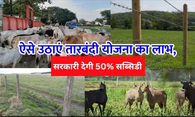 Kisan News: फसलों को जंगली जानवरों से बचाने के लिए लगाई तारबंदी पर सरकारी देगी 50% तक सब्सिडी, यहाँ जाने जानकारी
