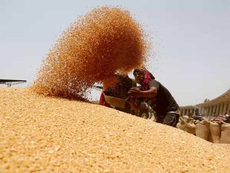 2 दिन में किसानों को 6 करोड़ 37 लाख का भुगतान